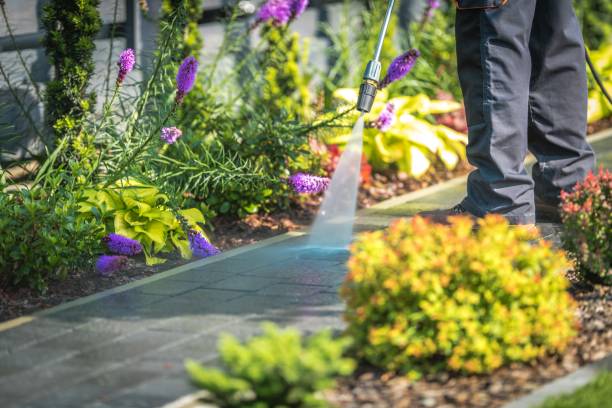 Best Dumpster Area Cleaning  in Jennings, LA
